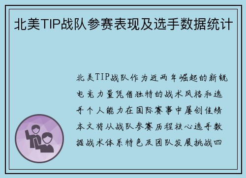 北美TIP战队参赛表现及选手数据统计
